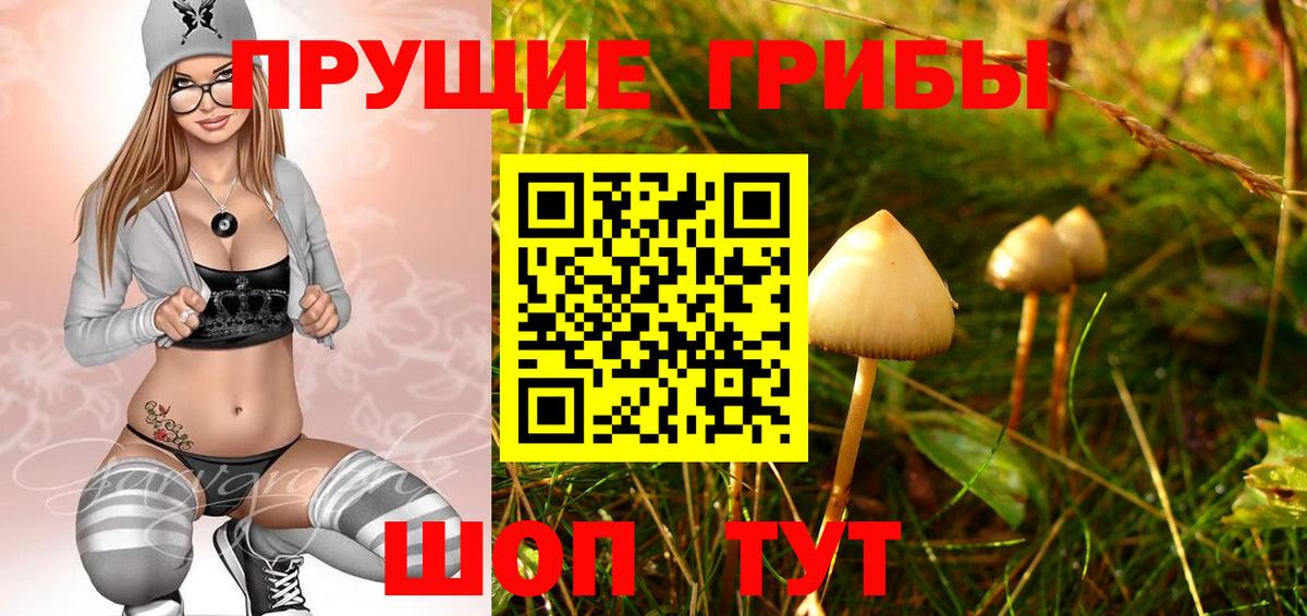 Псилоцибиновые грибы Psilocybine cubensis  Вход с VPN  что такое   Гусь-Хрустальный 