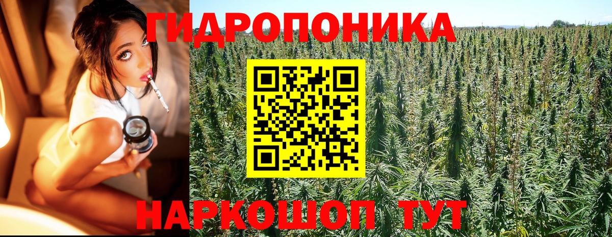 Конопля OG Kush  Бошки Шишки марихуана  Гусь-Хрустальный  Вход с VPN 